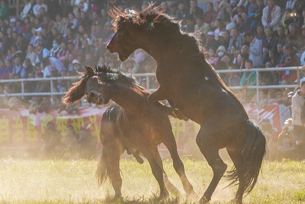 Гуансид?? Жуншуй ?аласында ?Жыл?ы патшасы? бай?ауы ?тт?